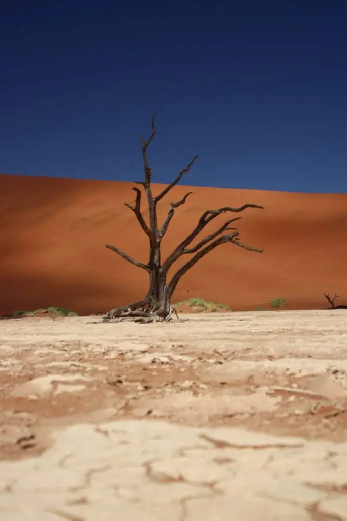 Namibia Reiseguide – Tipps, Sehenswürdigkeiten & Routen
