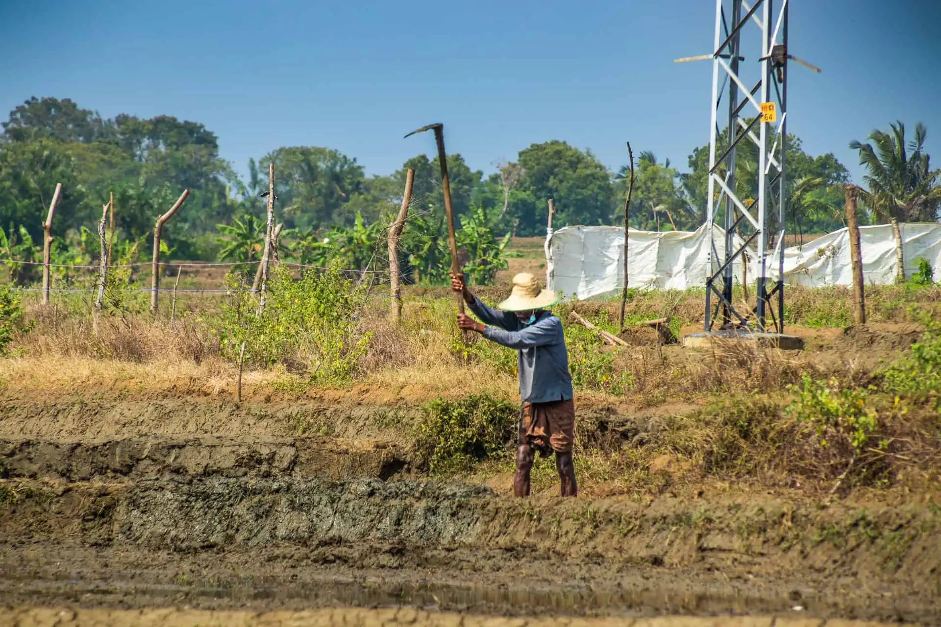 Sri Lanka Locals