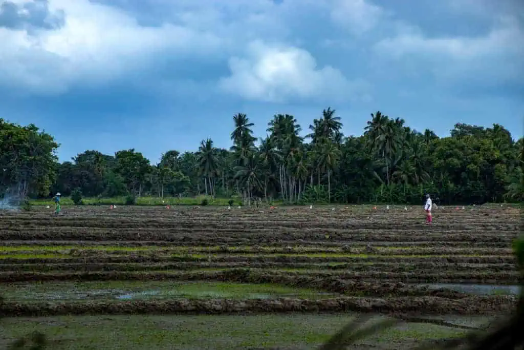 Reiseplanung Sri Lanka