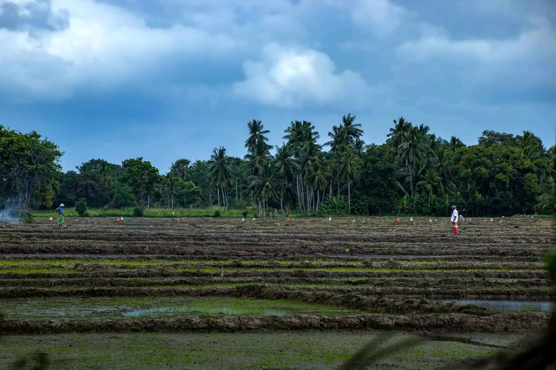 Reiseplanung Sri Lanka
