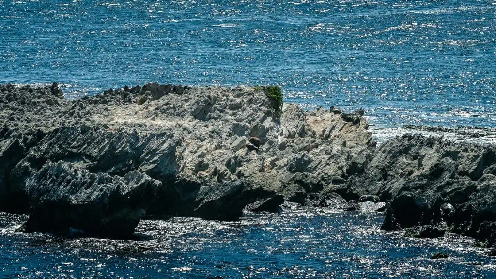 Cathedral Rocks Robben Rottnest Island
