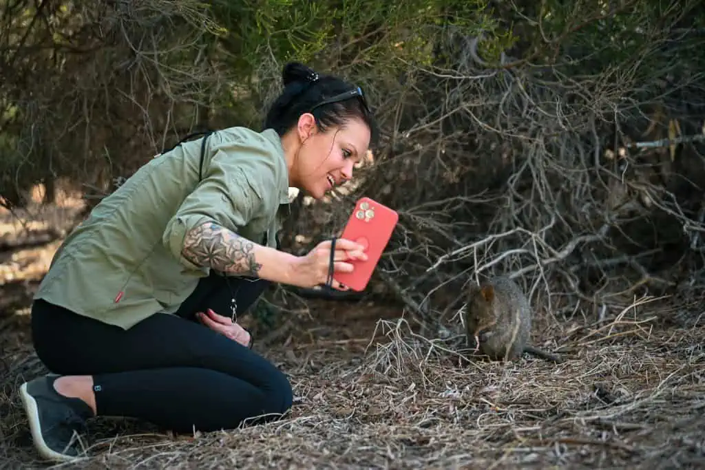 Quokka Selfie Rottnest Island