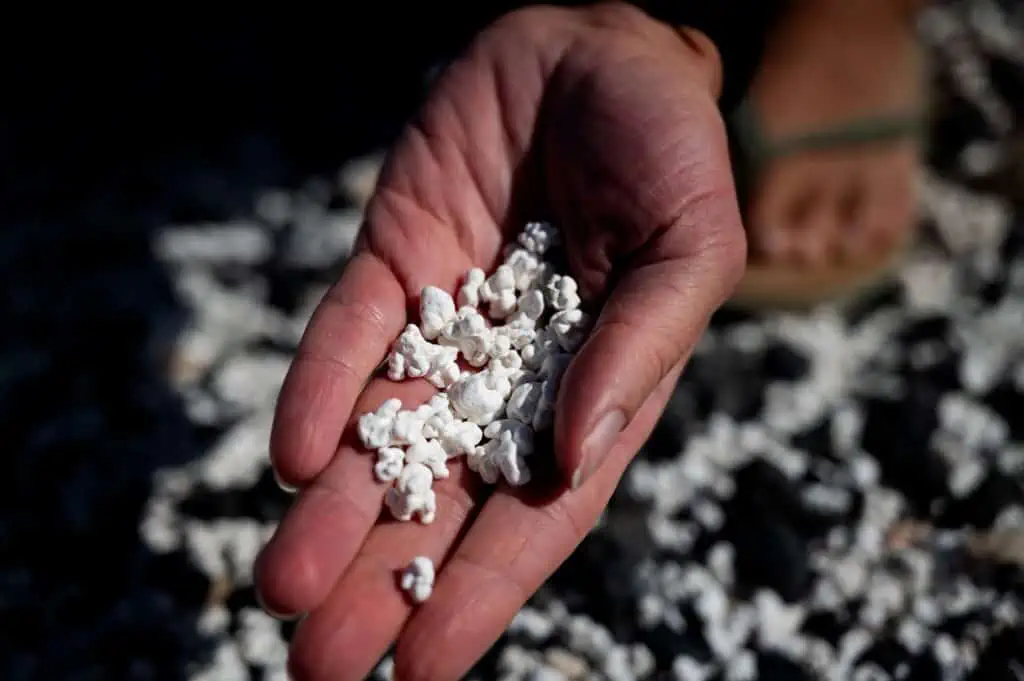 Popcorn Beach auf Fuerteventura