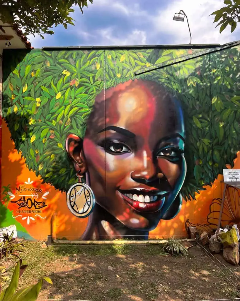 Medellin Sehenswürdigkeit Graffity El Poblado