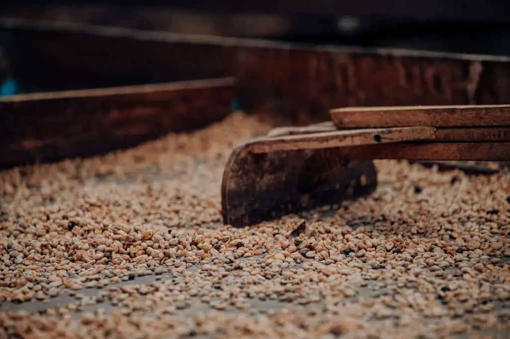Kaffee Tour in Salento Kolumbien Sehenswürdigkeit