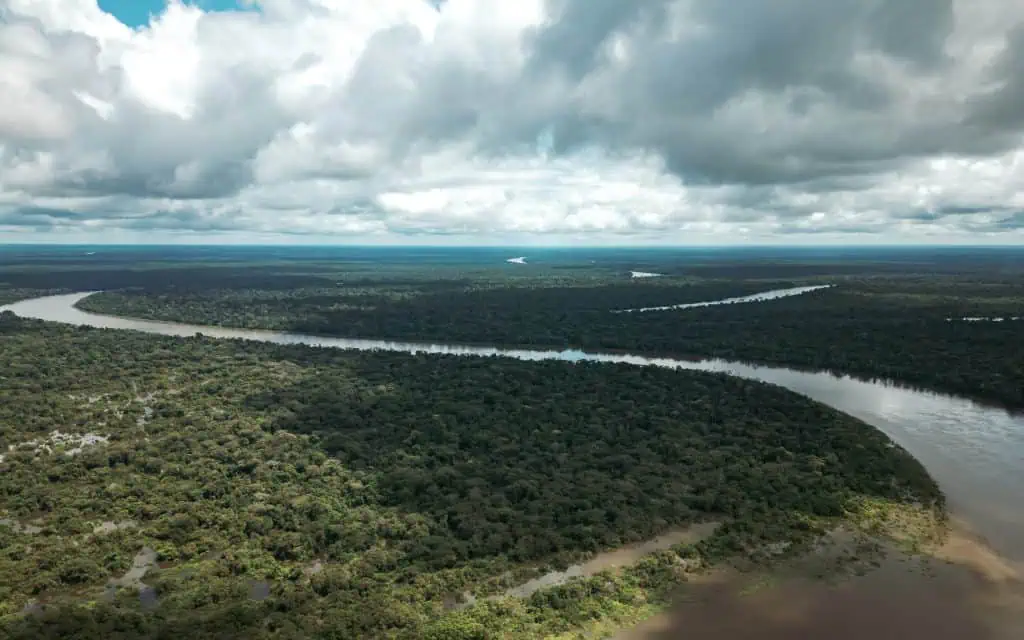 Amazonas 