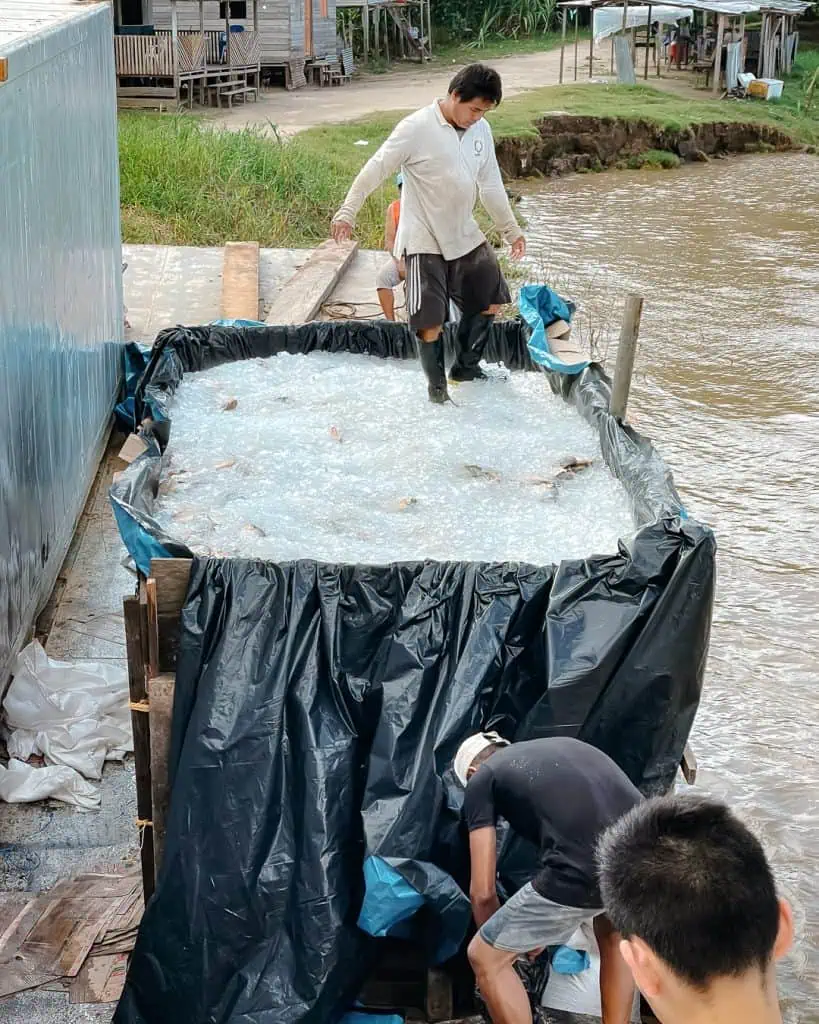 Frachtschiff nach Peru - Fracht wird verladen