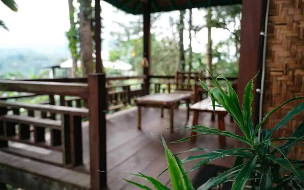 Rimba Eco Tomohon Sulawesi