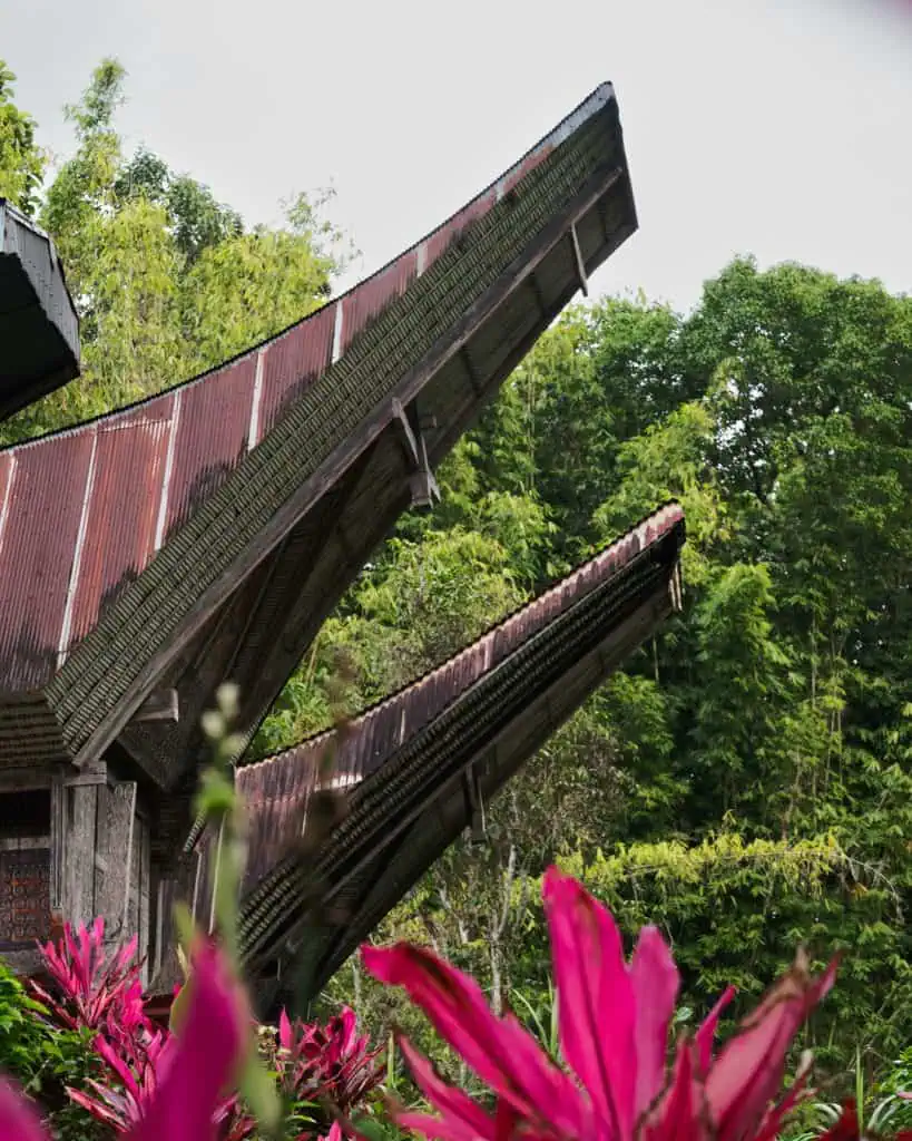 Tongkonan Haus in Tana Toraja Sulawesi