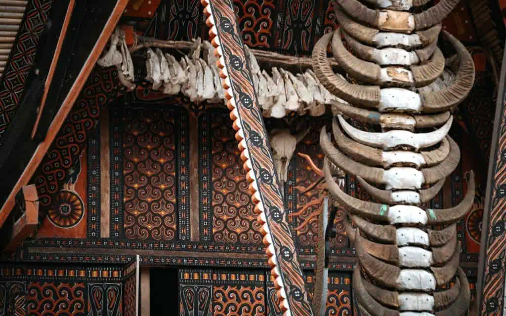 Büffelhörner am Tongkonan Tana Toraja Sulawesi
