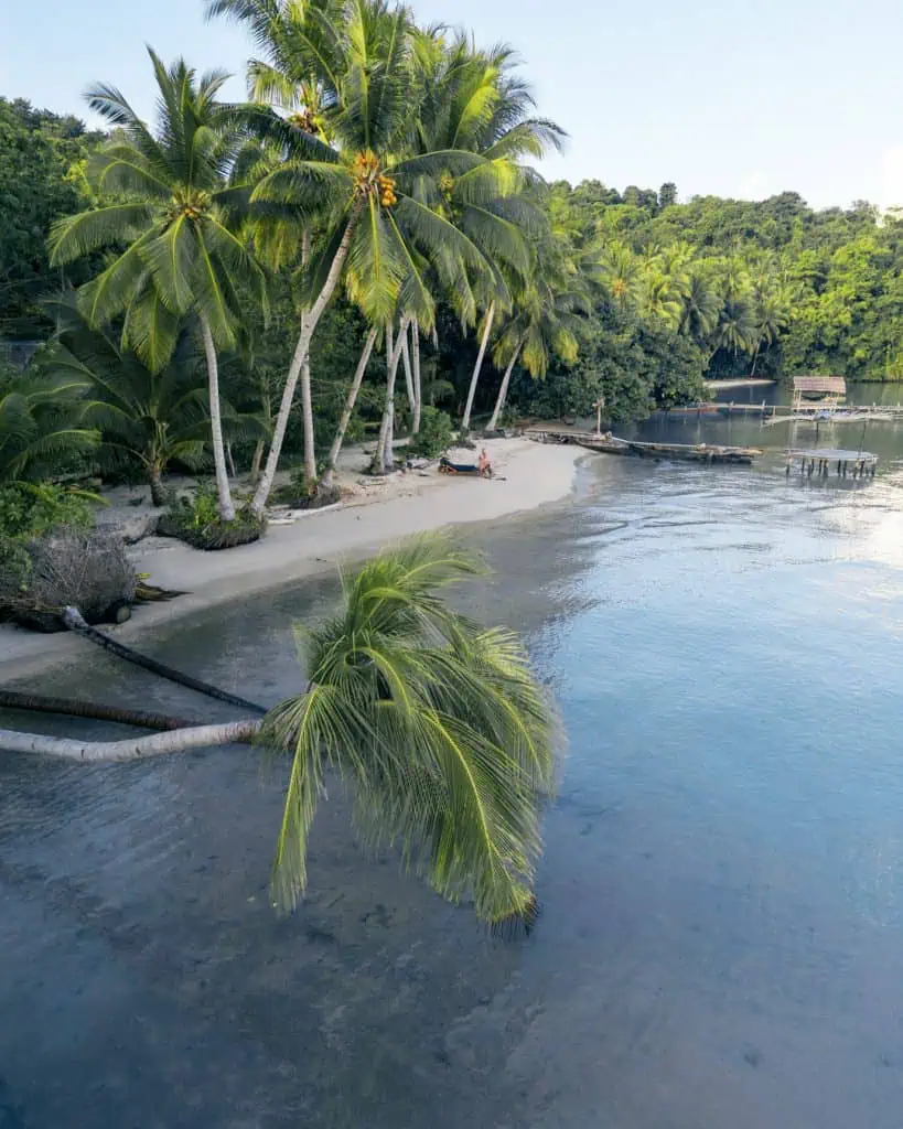Palmen am Strand von der Togian Insel Unterkunft Poki Poki