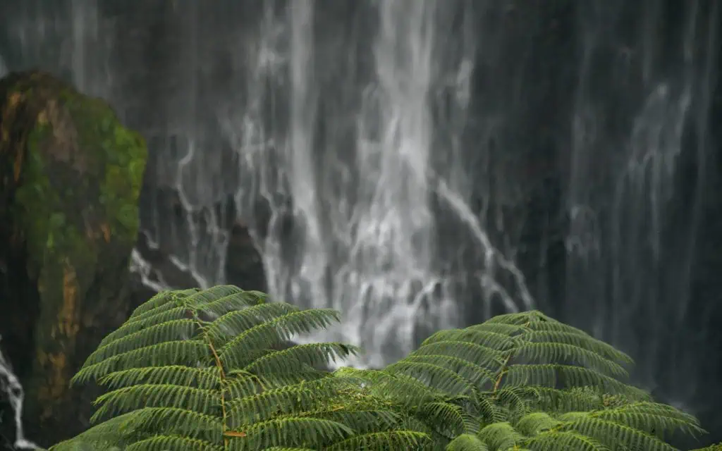 Tumpak Sewu Wasserfall Java
