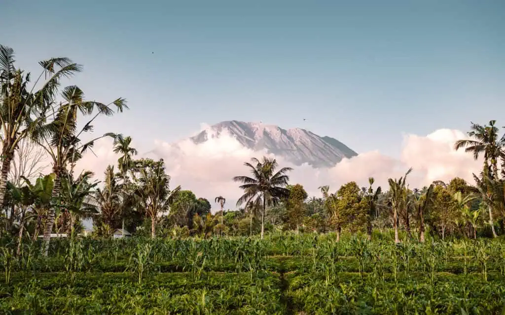 Aussicht auf den Mount Agung in Sidemen