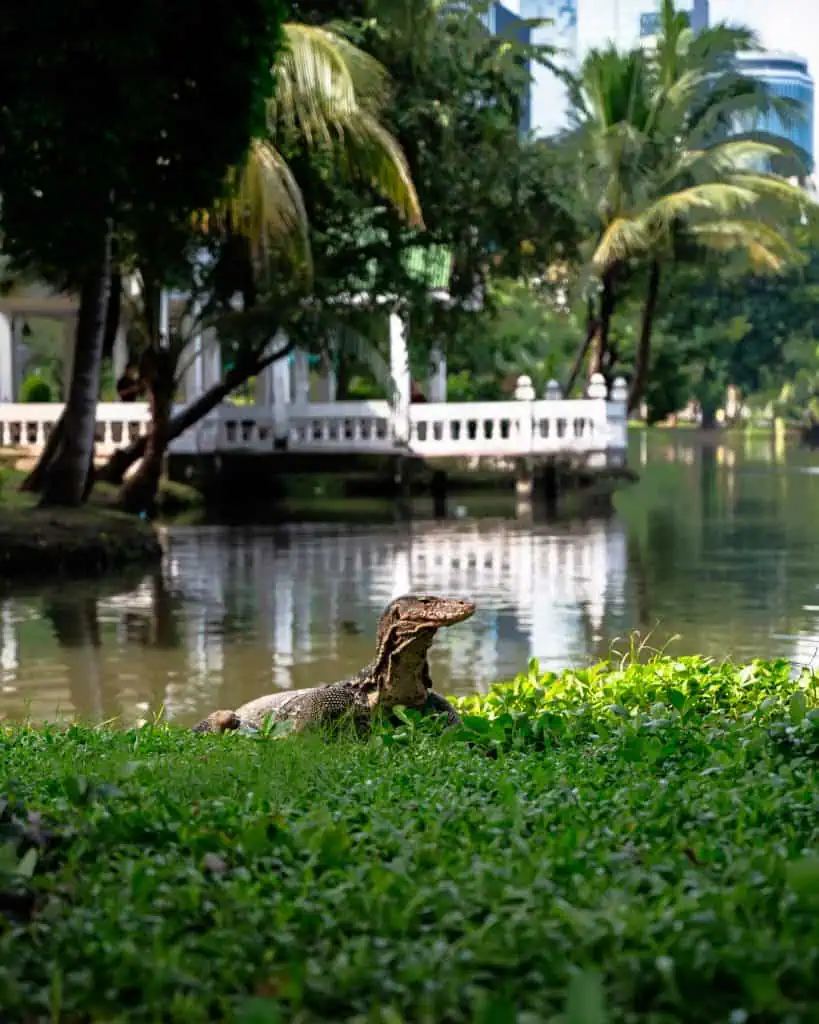 Lumphini Park Bangkok Waran