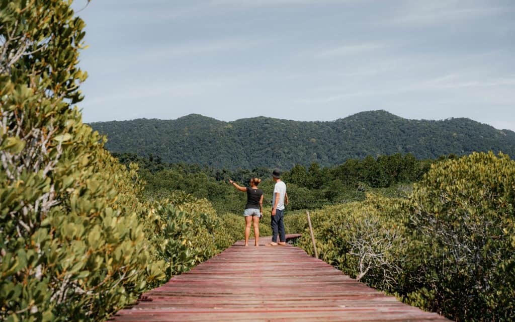 Salak Phet Mangrove Forest auf Koh Chang Thailand