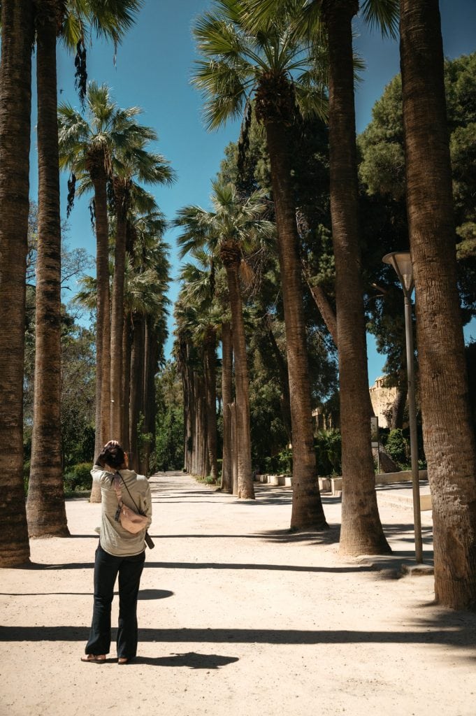 Palmen im Park in Fès – Impression aus der ältesten Königsstadt Marokkos.